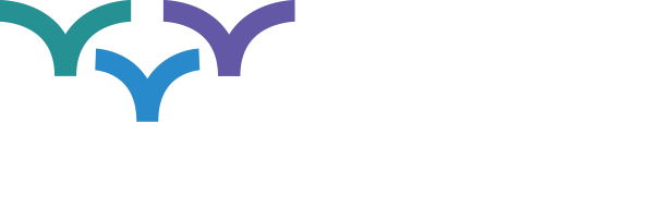 Guiding Innovators